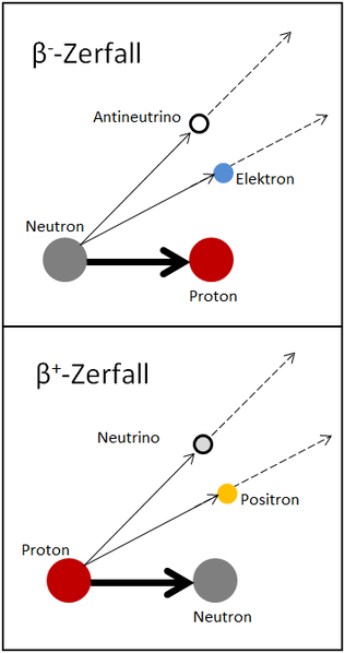 Datei:Betazerfall.PNG